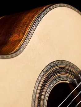 Explore guitar store